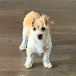 Meet your Posher, Anita